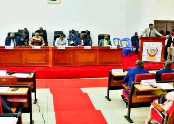 Assemblée Provinciale de Kinshasa : une semaine accordée au ministre provincial des Infrastructures pour répondre à une question d’actualité