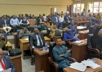 Crise à l&rsquo;Assemblée provinciale du Kasai-central : le bureau d&rsquo;âge annule la décision du bureau permanent invalidant les mandats de deux députés UDPS