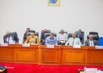 Kinshasa : les députés provinciaux ont adopté le rapport de l&rsquo;audition du ministre du Partenariat public-privé, moyennant quelques observations