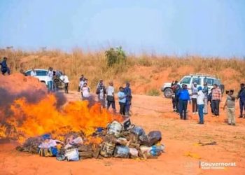 Kasaï Oriental : Plus de 40 valises de chanvre détruites à l’aéroport de Bipemba