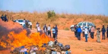 Kasaï Oriental : Plus de 40 valises de chanvre détruites à l’aéroport de Bipemba