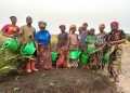 Coopération : Le Fonds-cadre mondial pour la biodiversité approuve un financement de 5,8 millions USD pour la RDC ( Document)