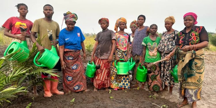 Coopération : Le Fonds-cadre mondial pour la biodiversité approuve un financement de 5,8 millions USD pour la RDC ( Document)