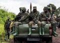 Sud-Kivu : 17 civils exécutés sommairement à Walungu par L&rsquo;AFC/M23 (FARDC)