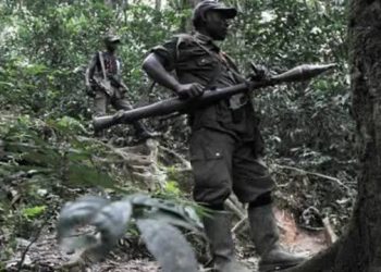 Neutralisation des FDLR: la RDC privilégie le dialogue pour encourager le retour volontaire des combattants rwandais