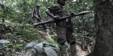 Neutralisation des FDLR: la RDC privilégie le dialogue pour encourager le retour volontaire des combattants rwandais