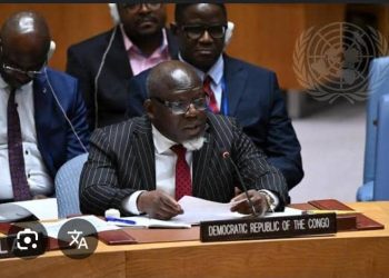 Augmentation de la demande de minéraux critiques d’ici 2030 : à l’ONU , La RDC appelle à une gouvernance responsable