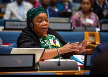 Diplomatie : La RDC désignée pour accueillir la 21e session de la conférence ministérielle africaine sur l&rsquo;environnement en 2027