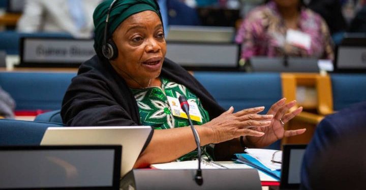 Diplomatie : La RDC désignée pour accueillir la 21e session de la conférence ministérielle africaine sur l’environnement en 2027