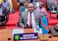 RDC – SADC : « Qu’il a été question de faire le rapport et de passer en revue la situation sécuritaire en RDC dans sa partie Est » (Didier MAZENGA, ministre de l’Intégration régionale)