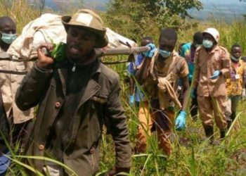 Attaque meurtrière des rebelles ADF à Komanda : Au moins 40 morts