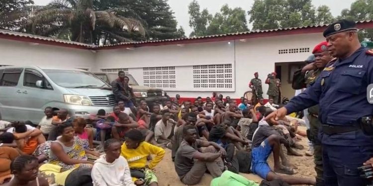 Opération conjointe des FARDC-PNC : 747 interpellations et saisies d’alcool et de chanvre à Kinshasa
