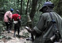 RDC: les USA sanctionnent le groupe armé PARECO-FF impliqué dans le commerce illicite de minerais