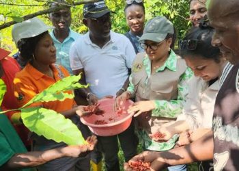 RDC : les entreprises saluent la suppression d’une taxe illégale sur les exportations des produits agricoles