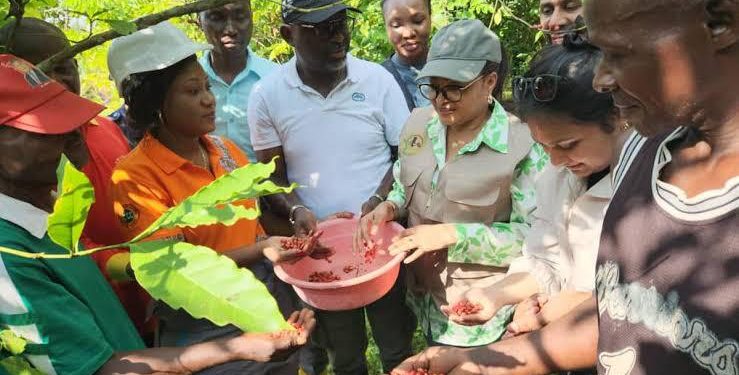 RDC : les entreprises saluent la suppression d’une taxe illégale sur les exportations des produits agricoles