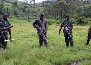Sud-Kivu : « l’ennemi est encore très loin », les FARDC démentent l’occupation d’Uvira par les rebelles AFC-M23