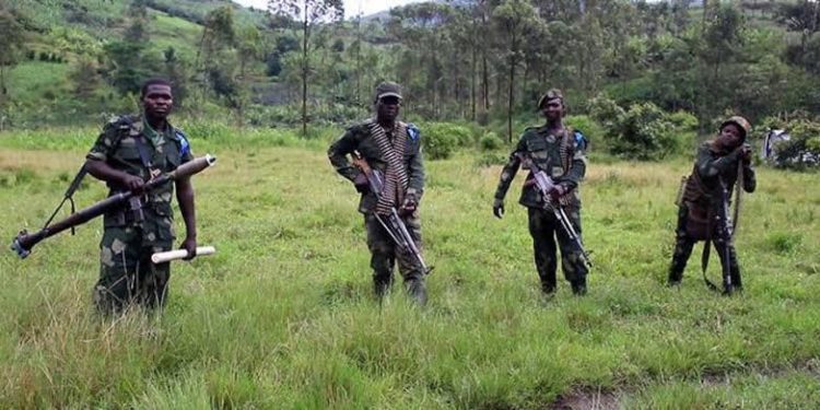 Sud-Kivu : « l’ennemi est encore très loin », les FARDC démentent l’occupation d’Uvira par les rebelles AFC-M23