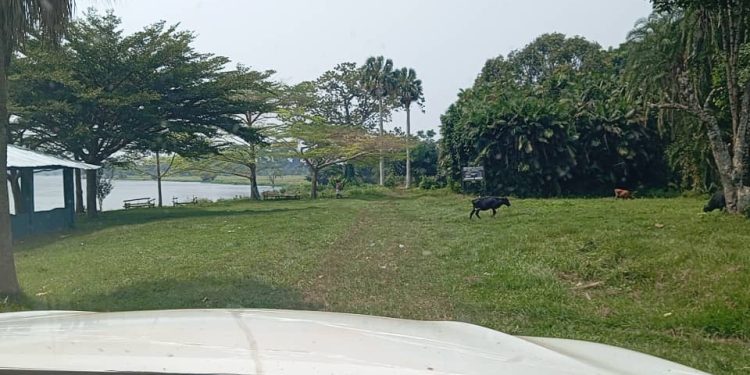 RDC : Le gouvernement relance les activités du Jardin botanique d’Eala à Mbandaka, après 72 ans de ralentissement