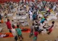 RDC : 1 554 nouveaux cas de choléra notifiés dans plusieurs zones de santé