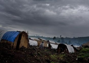 Guerre dans l’Est : 4 villages incendiés, des civils tués à Rutshuru, les FARDC accusent le M23 de saboter le processus de Doha