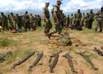 Accord de Washington: l’armée congolaise appelle les FDLR à déposer les armes et à se rendre