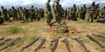 Accord de Washington: l’armée congolaise appelle les FDLR à déposer les armes et à se rendre