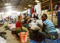 Kasaï: plus de 1300 congolais en situation irrégulière expulsés d’Angola