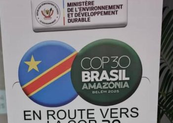 RDC : Kinshasa abritera du 28 au 31 octobre la semaine congolaise du Climat en prélude de la COP30