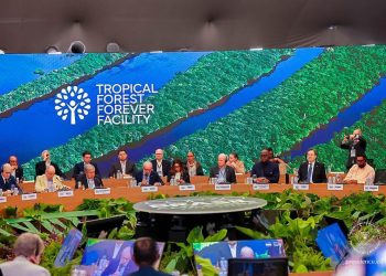 Ouverture de la COP30 au Brésil : la RDC parmi les pays Africains demandeurs d’une transition juste et équitable