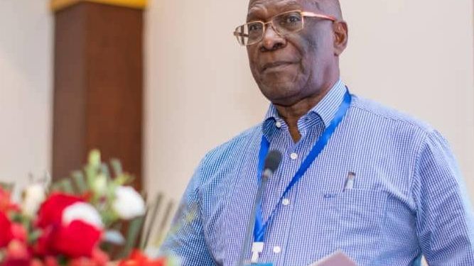 RDC : « environ 520 000 personnes atteintes du VIH, dont 13% ne connaissent pas leur statut sanitaire » (secrétaire exécutif du PNMLS)