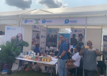 Village des opportunités : l’ANADEC forme 100 jeunes entrepreneurs sur l’élaboration du plan d’affaires