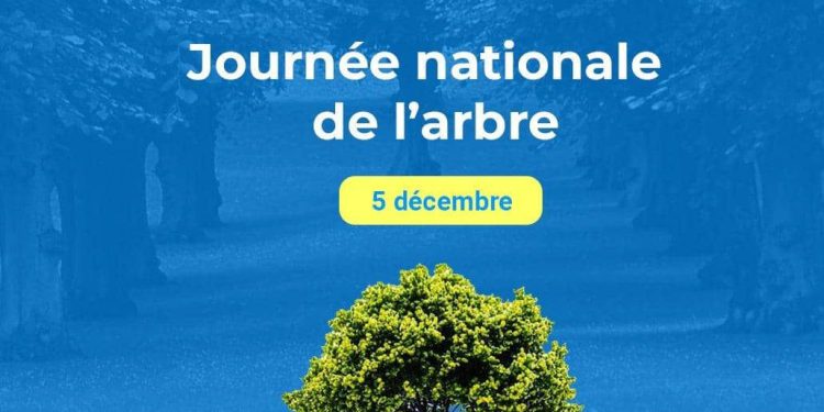 Journée nationale de l’arbre : La RDC s’engage pour une éducation environnementale durable