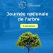 Journée nationale de l’arbre : La RDC s’engage pour une éducation environnementale durable