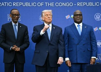 Tensions dans l’Est:  » Paul Kagame a planifié et exécuté la guerre » ( États-Unis au conseil de sécurité)
