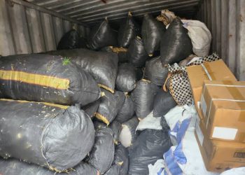 Saisie record de 56 sacs de cannabis à Kinshasa : des enquêtes ouvertes pour traquer les trafiquants