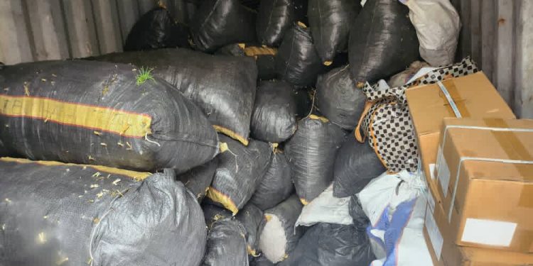 Saisie record de 56 sacs de cannabis à Kinshasa : des enquêtes ouvertes pour traquer les trafiquants