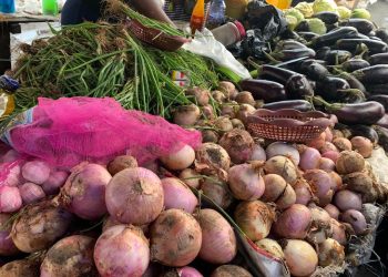 Festivités de fin d&rsquo;année : Une hausse de 16% du prix des oignons de Boma sur les marchés à Kinshasa
