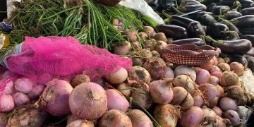 Festivités de fin d&rsquo;année : Une hausse de 16% du prix des oignons de Boma sur les marchés à Kinshasa