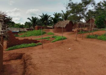 Kalehe : L&rsquo;ASBL UPCO alerte sur une explosion de la malnutrition aiguë à Bunyakiri