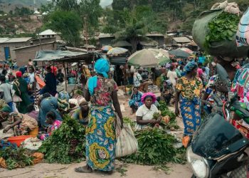 Sud-Kivu : le pillage de dépôts alimentaires et de l’usine de BAB à Bwegera fait exploser le prix du manioc à Uvira