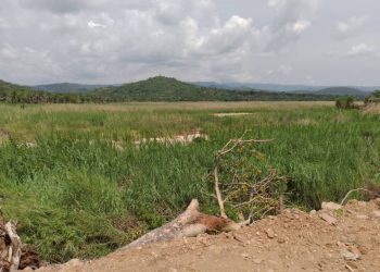 Sud-Kivu : Violents affrontements entre les FARDC et l’AFC-M23 à Makobola