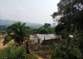 Sud-Kivu : Le territoire Kalehe face à l’urgence nutritionnelle pour des raisons d’absence d’aide humanitaire