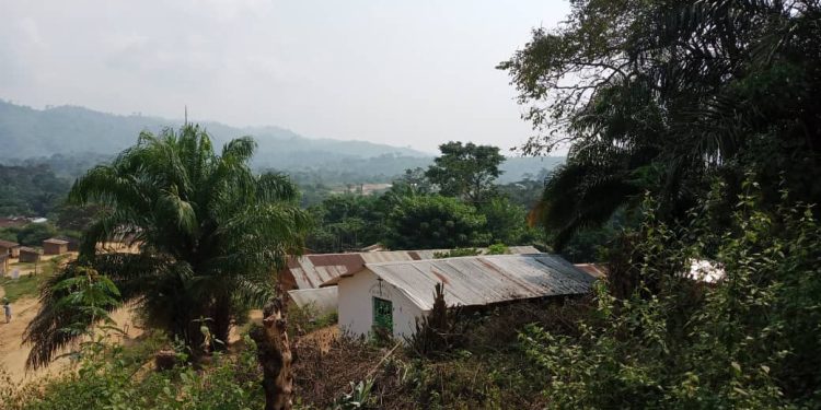 Sud-Kivu : Le territoire Kalehe face à l&rsquo;urgence nutritionnelle pour des raisons d&rsquo;absence d&rsquo;aide humanitaire