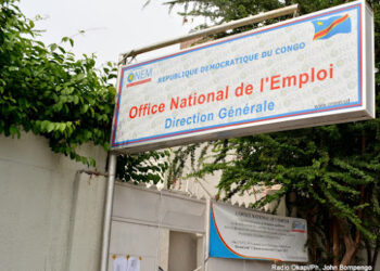 RDC : Voici la liste des 175 services privés de placement en ordre sur les 625 contrôles par le ministère de l’emploi