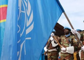 Mandat de la RDC au Conseil de sécurité de l’ONU : Kinshasa mise sur son expérience pour contribuer au maintien de la paix