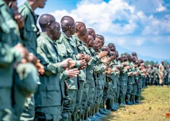 RDC : « les tentatives de désertion ou le refus d’obéir aux ordres du M23 ont donné lieu à des exécutions sommaires » (Experts de l’ONU)