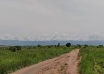 Fizi : Escalade de violences à Namisha, 4 morts et des maisons incendiées dans un choc entre factions Wazalendo