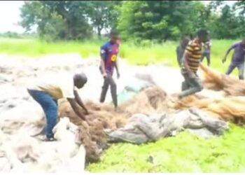Haut-Katanga : Incineration de plus de 400 filets de peche saisis sur la riviere Luapula et le lac Moero à Kasenga