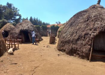 Sud-Kivu : La précarité gagne les familles hôtes de déplacés à Kamanyola et Kabare