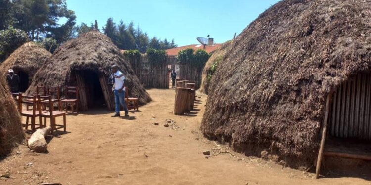 Sud-Kivu : La précarité gagne les familles hôtes de déplacés à Kamanyola et Kabare